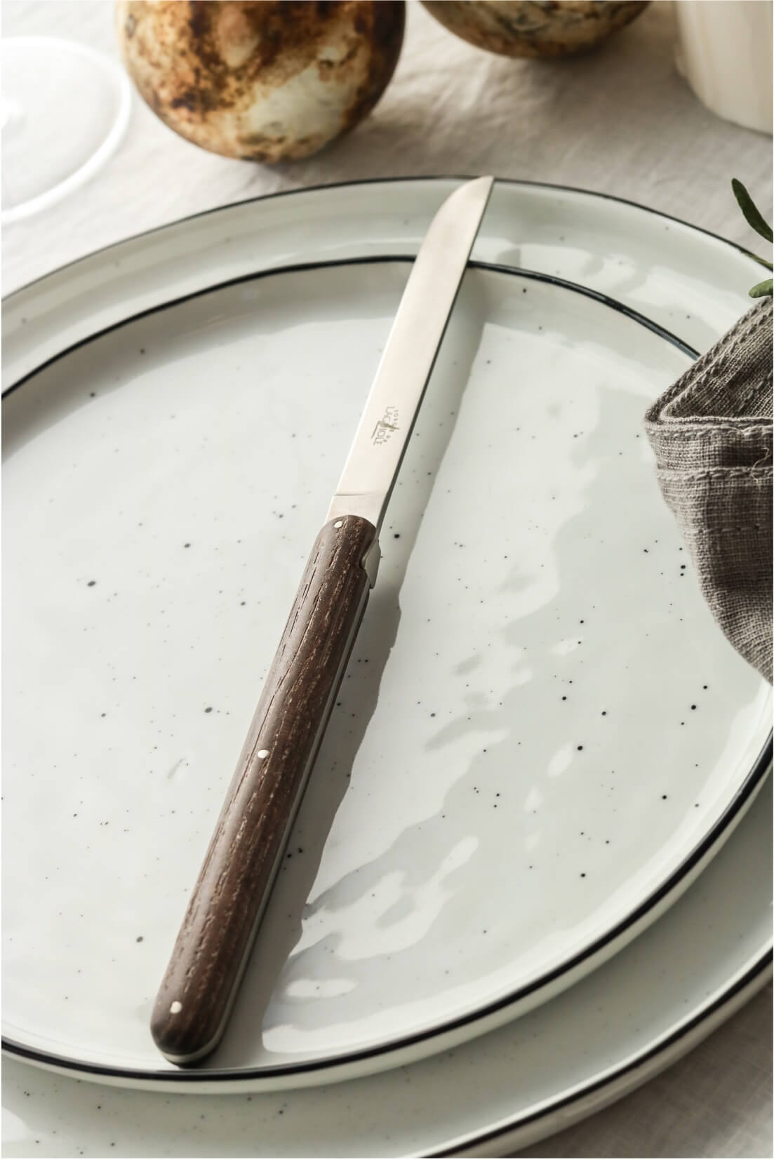 Cuchillos de mesa Forge De Laguiole diseñados por ANDREE PUTMAN