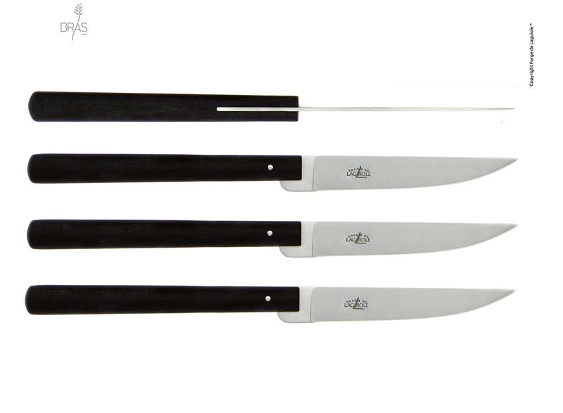 Juego de cuchillos para carne Forge De Laguiole - Diseño de Michel y Sebastian Bras.