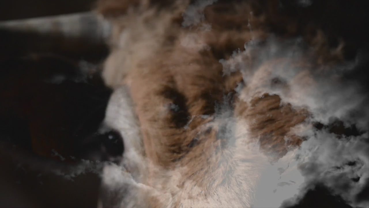 Cuchillos Forge De Laguiole con mango de ébano y acabado satinado en acero inoxidable